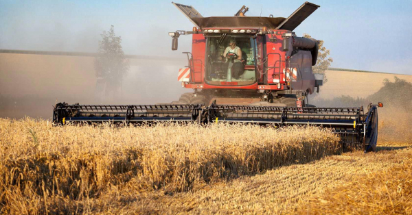 ФАО: мировые цены на продовольственные товары продолжают падать