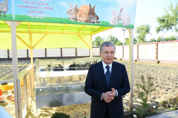 Президент дал руководителям Андижанской области указания о том, как снизить цены на мясо