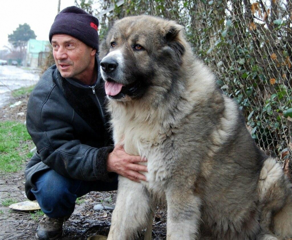 Костромин,  Тарзан и ребята