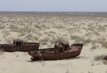 Ўзбекистон ва Хитой олимлари Орол денгизи тубини ҳамкорликда ўрганишга киришди