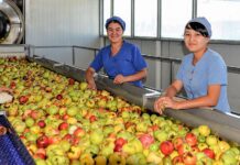 Ўзбекистон Президенти қишлоқ хўжалиги ходимларини касб байрами билан табриклади