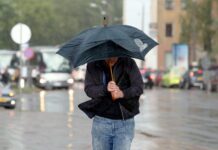 Кучли шамол ва ёғингарчилик шаҳар бўйлаб жиддий ноқулайликлар келтириб чиқариши мумкун — Ҳокимият