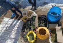 Гиёҳвандлик воситалари ва кучли таъсир қилувчи моддалар билан боғлиқ қатор ҳолатлар аниқланди