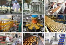 2026 йил январь ойида Ўзбекистонда озиқ-овқат ишлаб чиқариш ҳажми 9,4 трлн сўмга етди