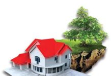 Кадастр ҳужжатини энди онлайн расмийлаштириш мумкун