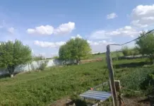 Уй-жой қурилиши учун кимошди савдосида сотилган ер майдонлари камаймоқда
