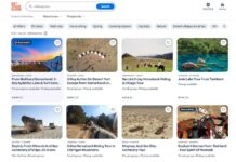GetYourGuide платформасида Ўзбекистоннинг туристик маҳсулотлари кенгаймоқда