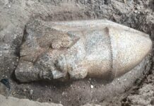 Мисрда деҳқон ўз томорқасида Рамзес II нинг 3000 йиллик ҳайкаллари қолдиқларини топди