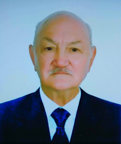 Знаменосец кибернетики Знаменосец кибернетики
