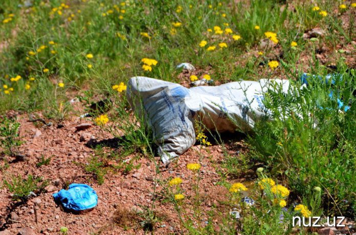 В курортной зоне Чимган образовалась свалка из использованных масок и памперсов