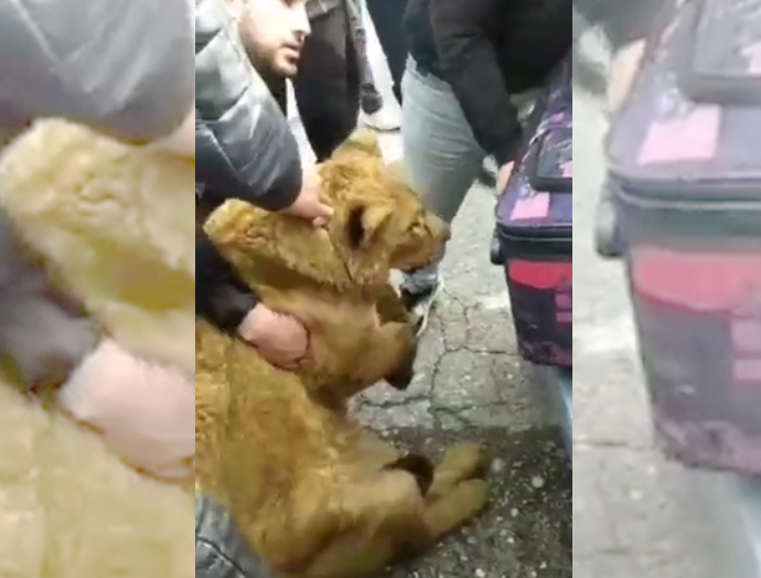 на дорогу