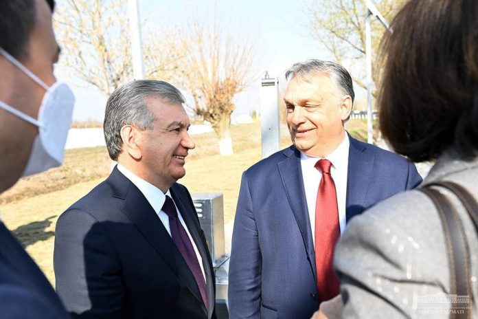центр картофелеводства