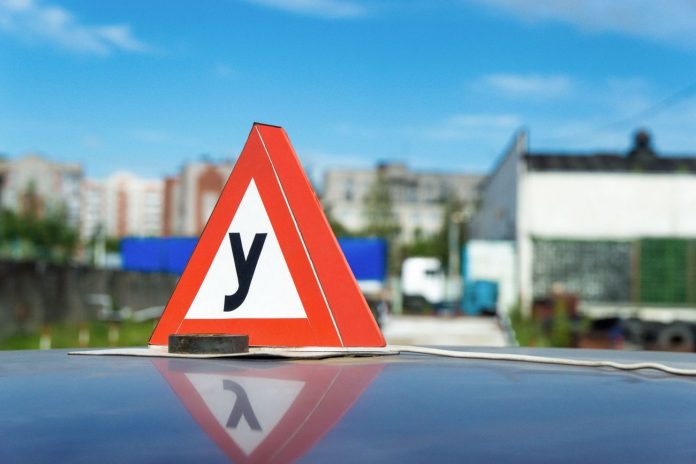 получить водительские права