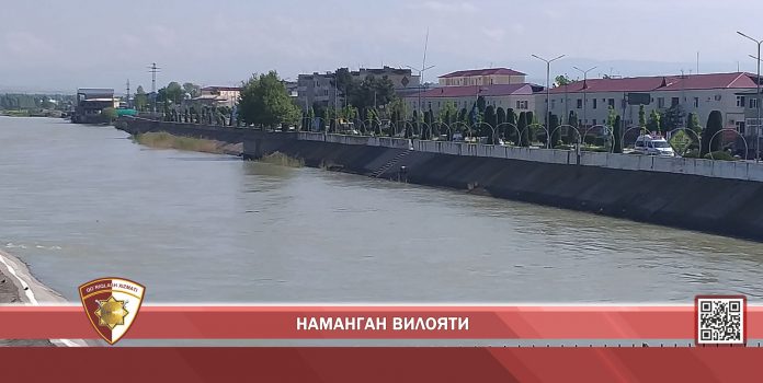 НАМ-scaled бросилась в реку