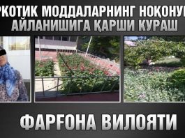 опийного мака