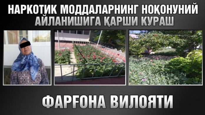 опийного мака
