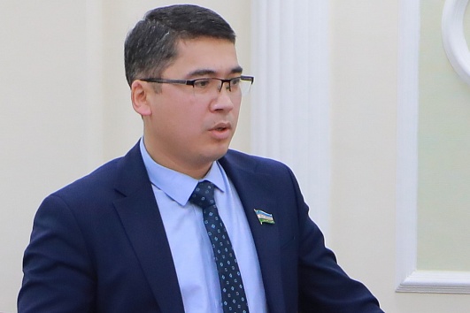 Депутат Законодательной палаты