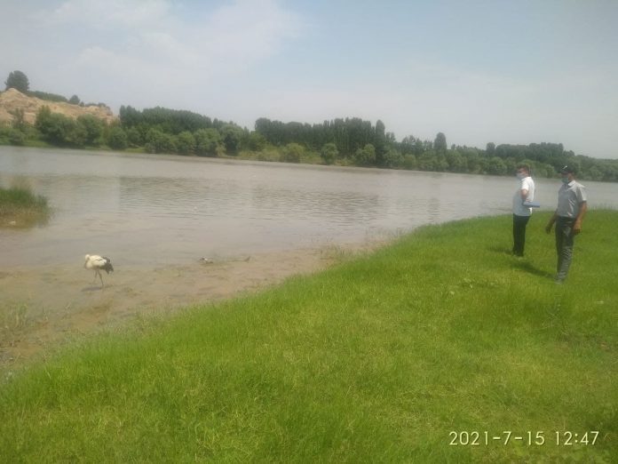 аист