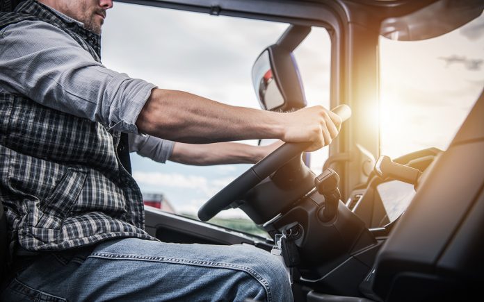 Truck Driver Behind the Wheel