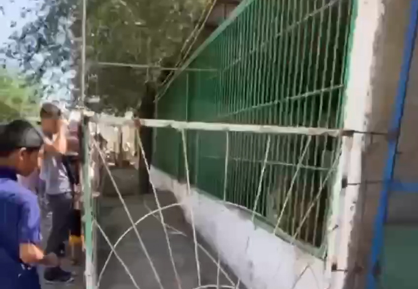Без имени-1