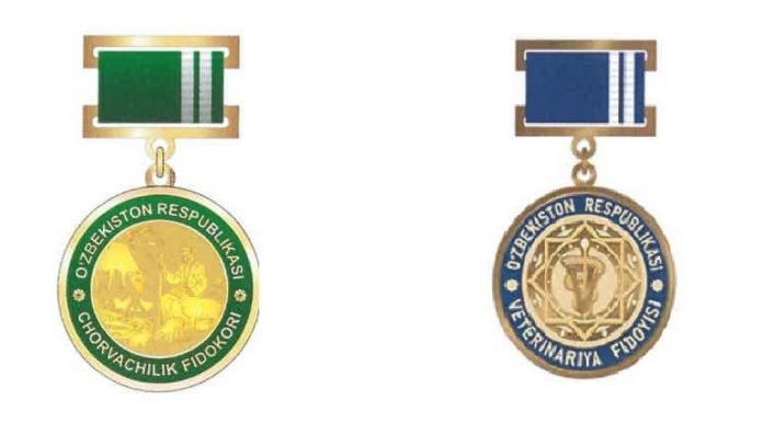 184549_dc54250506dc9a585e4f8cf77f79 (1)