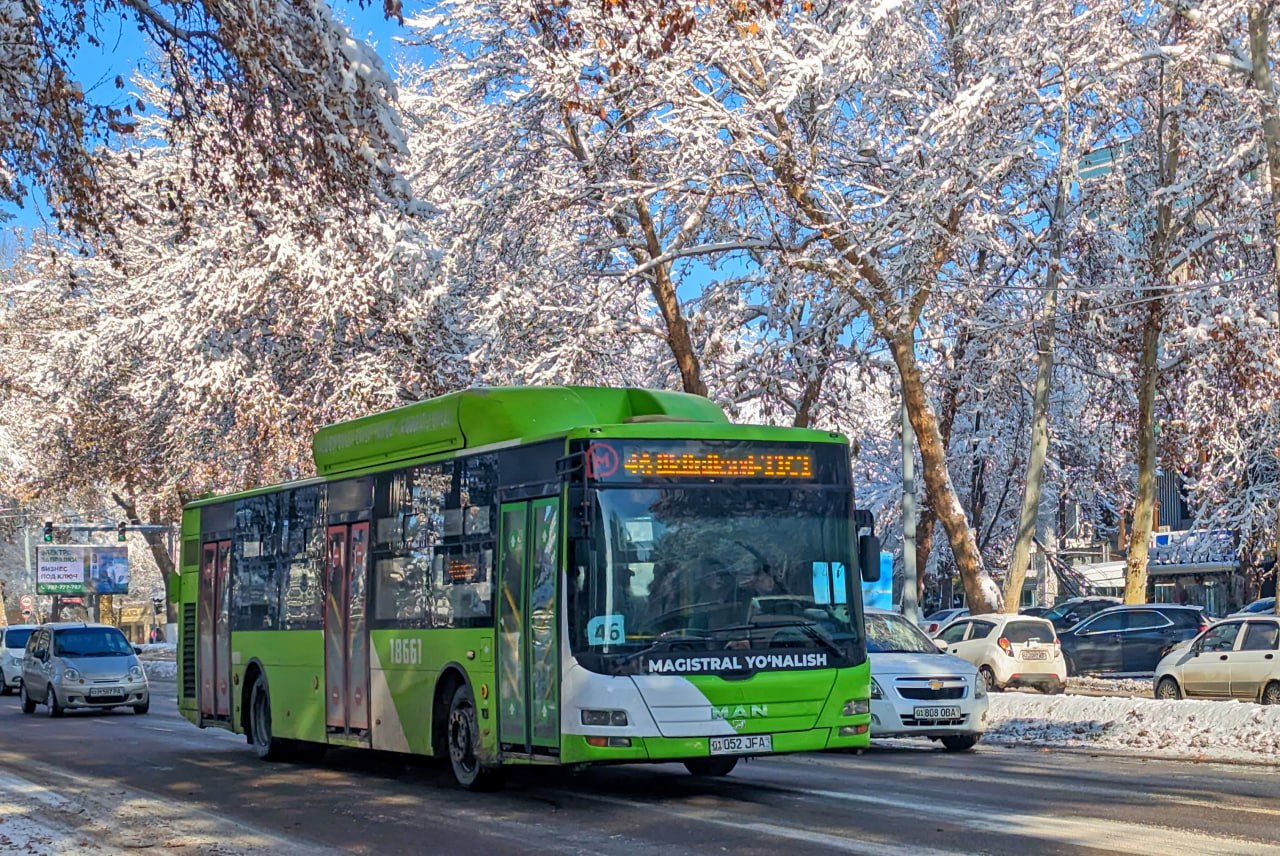 Ташкент в январе