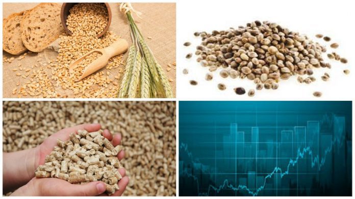 uzex-weekly-digest-february-6-12_802