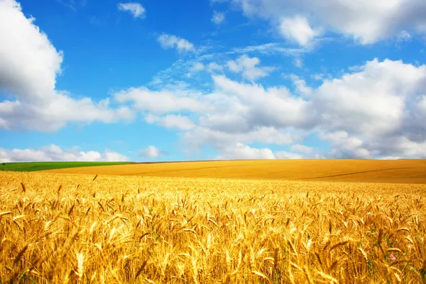 depositphotos_1009462-stock-photo-empty