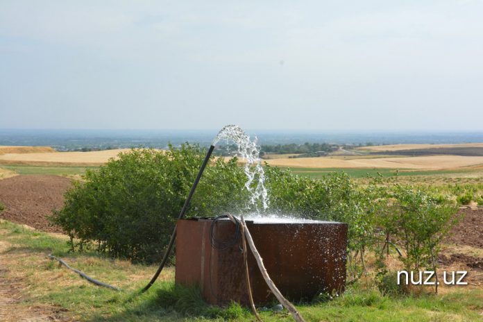 Карши_063