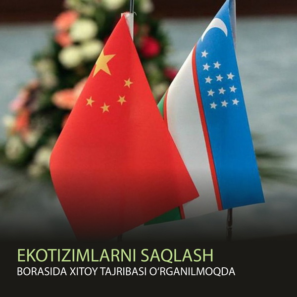 uzbxitsa_новый размер
