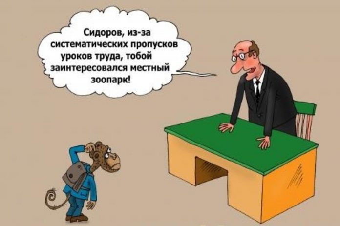progulshhik_7848