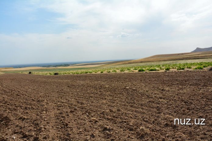 Карши_049