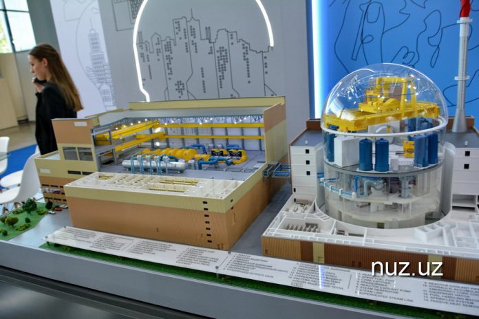 ОГУ 2024_019