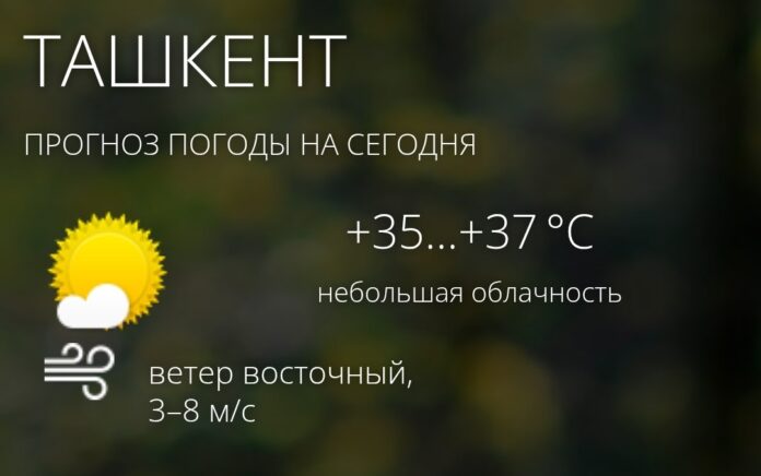 Прогноз погоды на 8 августа: в Узбекистане ожидается небольшая облачность и жара