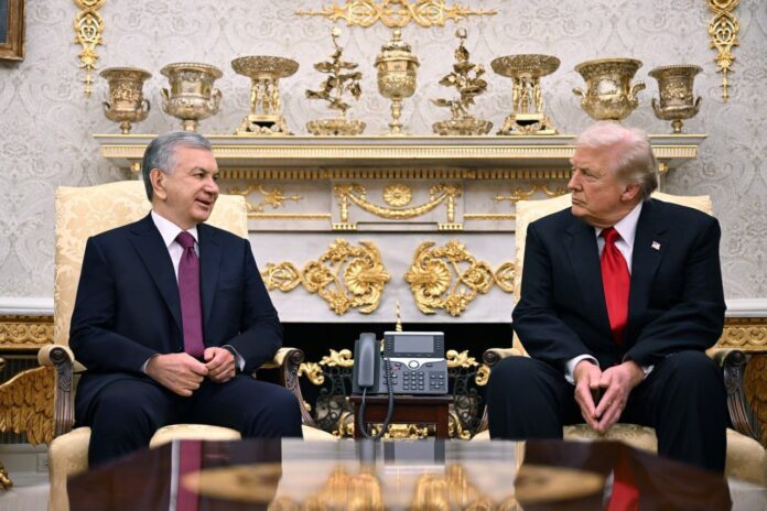 photo_2025-11-07_06-20-49