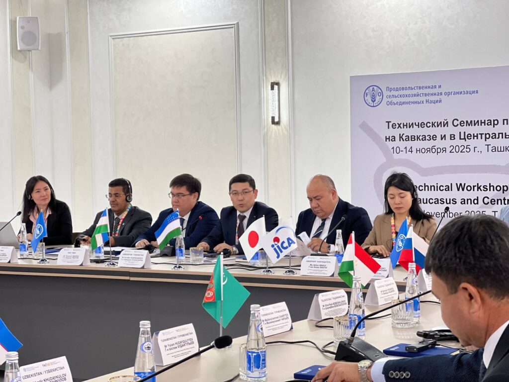 Узбекистан примет Региональный технический семинар по борьбе с саранчой в странах Кавказа и Центральной Азии в 2025 году