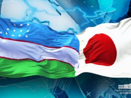 Узбекистан-Япония: достижения и ключевые направления сотрудничества