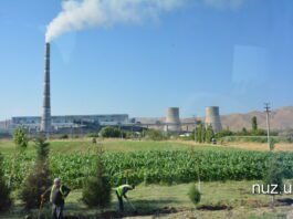 Узбекистан приступит к финансированию проекта «Камбар-Ата ГЭС-1» совместно с Кыргызстаном и Казахстаном