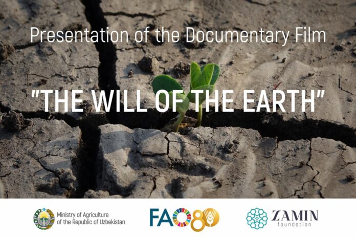 photo_2025-12-04_22-08-36