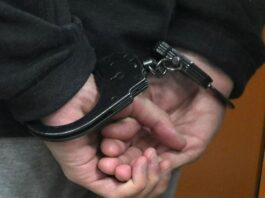 Сторонники ИГ*, среди которых граждане Узбекистана, планировали устроить теракт в колонии Ростовской области