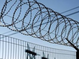 Комментарий к Указу Президента «О помиловании группы лиц, отбывающих срок наказания, чистосердечно раскаявшихся в содеянном и твердо вставших на путь исправления»