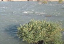 В Андижане подросток утонул во время купания в реке